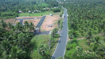 Residential Plot for Sale in Nangavalli, Salem (800 Sq.ft.)