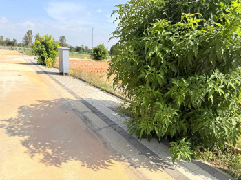 Well developed property for ale at chikka tirupati