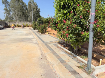 PREMIUM plots for sale attach to Empyrean villa Sarjapur