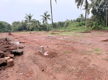 Property for sale in Taliparamba, Kannur
