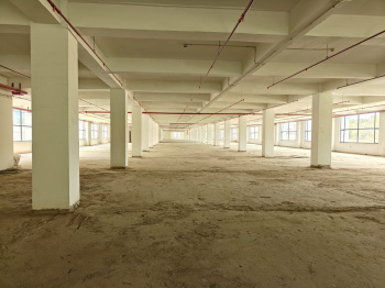 Factory / Industrial Building for Rent in Sector 58, Noida (800 Sq. Meter)