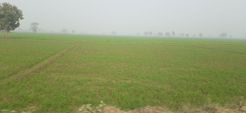 14000 Sq. Yards Industrial Land / Plot for Sale in NH 24 Highway, Ghaziabad (6 Bigha)