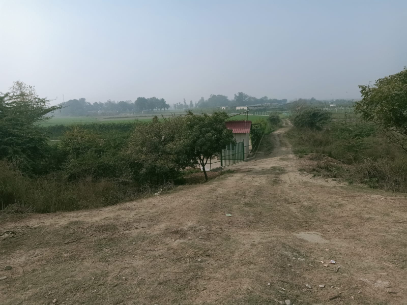 1 RK Farm House for Sale in Sector 135, Noida (1800 Sq. Yards)