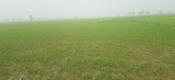 2 Bigha Agricultural/Farm Land for Sale in Mussoorie Gulawathi Rd, Ghaziabad
