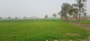 Property for sale in Dankaur, Gautam Buddha Nagar