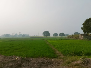 Property for sale in Dankaur, Gautam Buddha Nagar