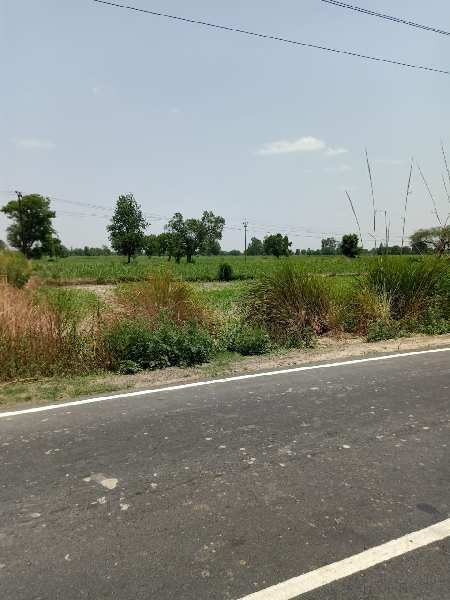 32 Bigha Agricultural/Farm Land for Sale in Dhaulana, Ghaziabad