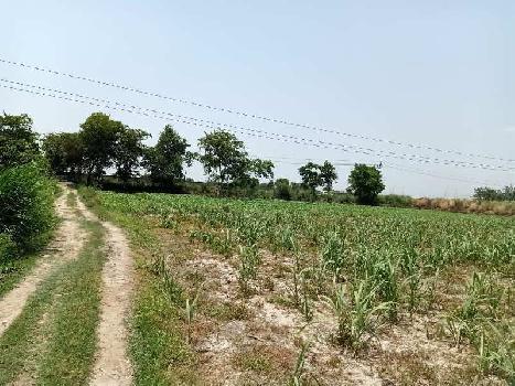 32 Bigha Agricultural/Farm Land for Sale in Dhaulana, Ghaziabad