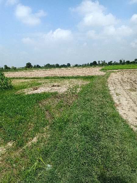 2 Bigha Industrial Land / Plot for Sale in Dhaulana, Ghaziabad