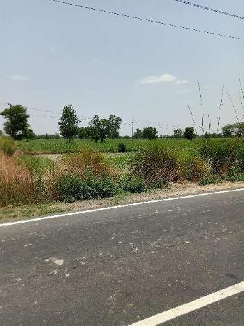 2 Bigha Industrial Land / Plot for Sale in Dhaulana, Ghaziabad
