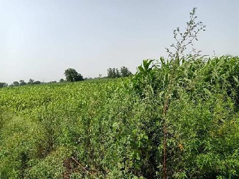 11 Bigha Industrial Land / Plot for Sale in Dhaulana, Hapur