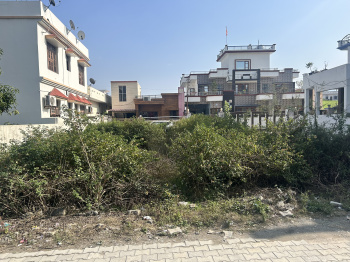 3.67 Biswa Residential Plot For Sale