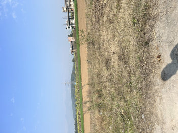 Residential Plot For Sale In Paonta Sahib, Sirmaur (4 Biswa)