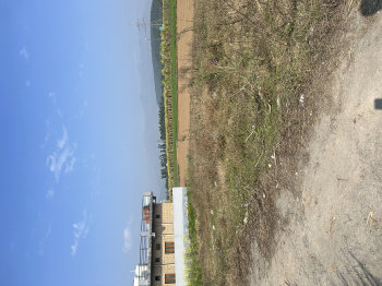 Property for sale in Paonta Sahib, Sirmour