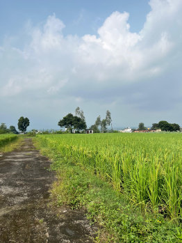 Property for sale in Paonta Sahib, Sirmour