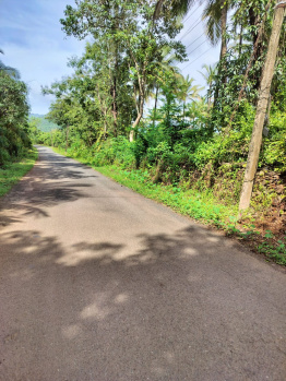 31500 Sq. Meter Agricultural/Farm Land For Sale In Canacona, Goa