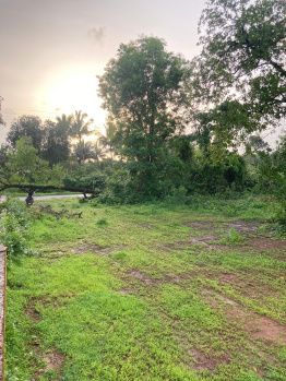 Farm House for Sale in Kankavli, Sindhudurg (92 Guntha)