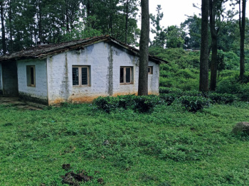 Agricultural/Farm Land For Sale In Kotagiri, Ooty (525 Acre)