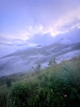 Farm House For Sale In Vilpatti, Kodaikanal (53 Cent)