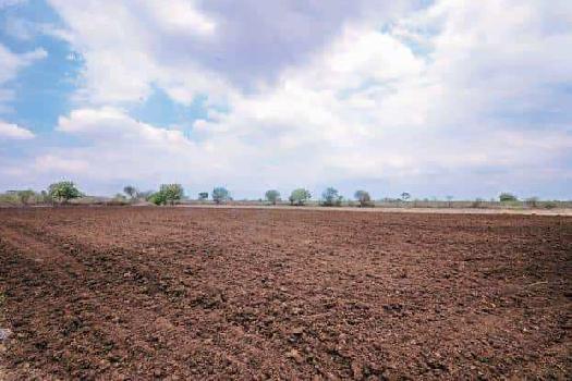 100 Acre Agricultural/Farm Land for Sale in Pune