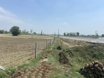 91 Bigha Agricultural/Farm Land for Sale in Shamli Road, Muzaffarnagar