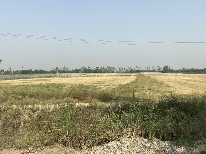 35000 Sq. Yards Agricultural/Farm Land for Sale in Uttar Pradesh