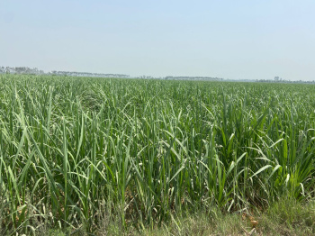 Property for sale in Delhi Road, Meerut