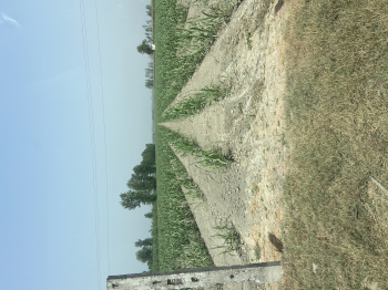 Warehouse/Godown for Sale in Aminagar Urf Bhurbaral, Meerut (12 Acre)