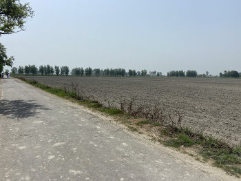 Agricultural/Farm Land for Sale in Garh Road, Meerut (50000 Sq. Yards)