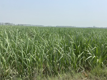 Property for sale in Garh Road, Meerut