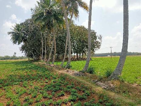 2.86 Acre Agricultural/Farm Land for Sale in Acharapakkam, Chennai