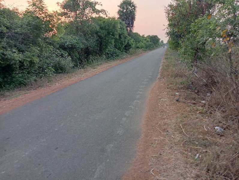 6.00 Acre Agricultural/Farm Land For Sale In Madurantakam, Kanchipuram