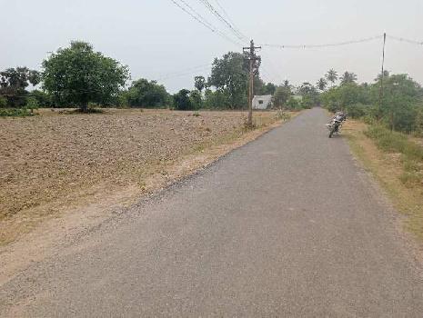 3.60 Acre Agricultural/Farm Land for Sale in Uthiramerur, Kanchipuram