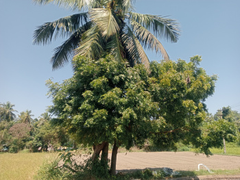 Property for sale in Madurantakam, Chennai