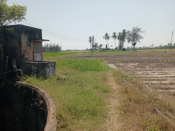 Property for sale in Madurantakam, Chennai