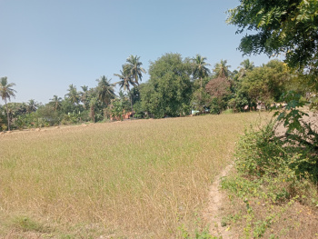 Property for sale in Acharapakkam, Chengalpattu