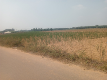 Property for sale in Uthiramerur, Kanchipuram