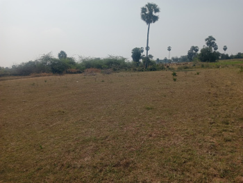 Property for sale in Uthiramerur, Kanchipuram