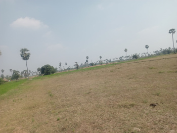 Property for sale in Uthiramerur, Kanchipuram
