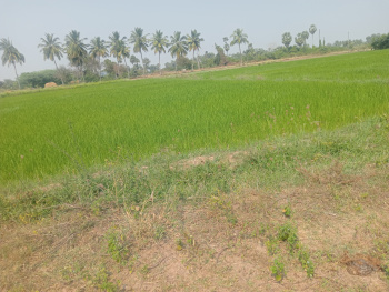 Property for sale in Uthiramerur, Kanchipuram