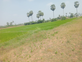 Property for sale in Uthiramerur, Kanchipuram