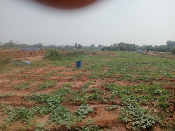 Property for sale in Uthiramerur, Kanchipuram