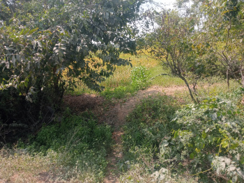 Property for sale in Madurantakam, Chennai