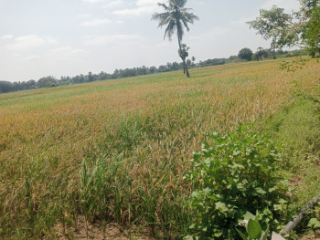 Property for sale in Madurantakam, Chennai