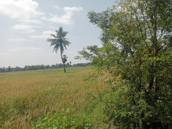 Property for sale in Madurantakam, Chennai