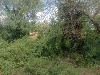Property for sale in Padalam, Kanchipuram