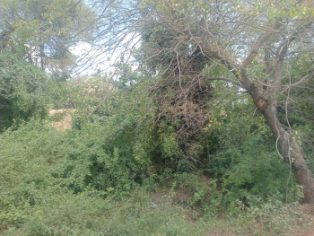 Property for sale in Padalam, Kanchipuram