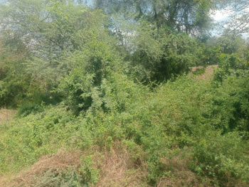 Property for sale in Padalam, Kanchipuram
