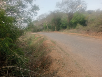 1.70 Acre Agricultural/Farm Land for Sale in Cheyyar, Kanchipuram