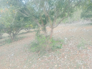 Property for sale in Cheyyar, Kanchipuram